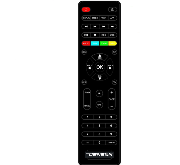 Denson DS-1010 road V3 12/220V HD/PVR tuner met kaartlezer en CI slot - Afbeelding 4